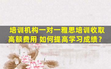 培训机构一对一雅思培训收取高额费用 如何提高学习成绩？